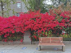 -四川大学(华西校区)