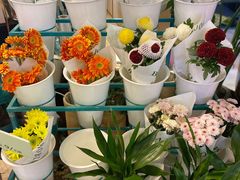 -BoBloom花店(晶耀前滩店)