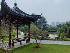 -广州神农草堂中医药博物馆