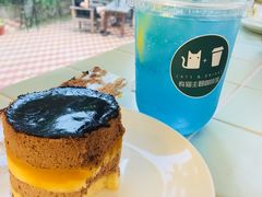 -有猫主题·治愈系猫咖(曾厝垵店)