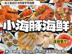 -小海豚·老字号海鲜餐厅(三亚湾店)