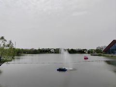 -上海长兴岛郊野公园