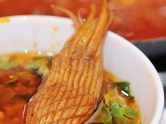 -朱光玉火锅馆(正弘城店)