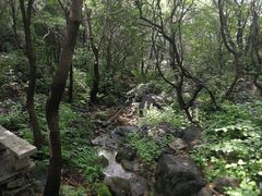 -野三坡百草畔景区
