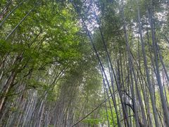 -敬亭山风景名胜区