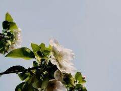 -海棠花溪(元大都城垣遗址公园)