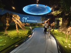 -安徽省地质博物馆