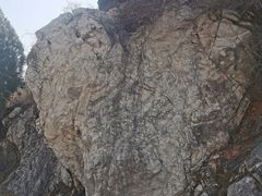 -府君山公园