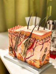 -清颜堂专业祛痘