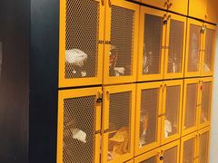 -超级猩猩健身·团课(国贸店)