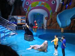 -烟台海昌鲸鲨海洋公园