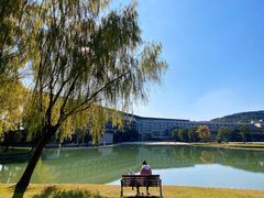 -上海佘山世茂艾美酒店