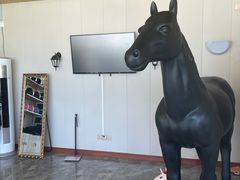 -名驭国际马术学院