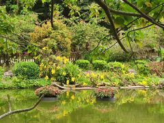 -深圳仙湖植物园