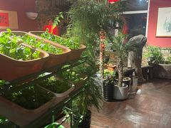 -大匠工房古船木艺术餐厅·猪肚鸡专门店(长白仙岛店)