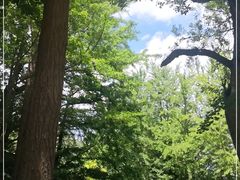 -阳台山自然风景区