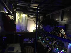 -Sirena海妖日咖夜酒