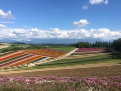 -富田农场