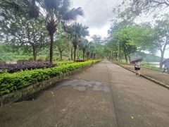 -风云岭森林公园