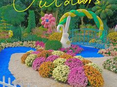 -上海共青森林公园