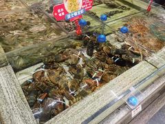 -鑫复盛皇嘉海鲜酒店
