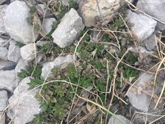 -福缘烤肉王自助(爱琴海-原比尔森店)