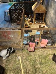 -酷嗒动物文化乐园(cutezoo西溪乐天城店)