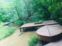 -大青沟风景区