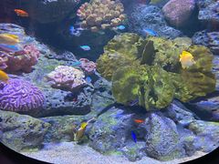 -暹罗海洋世界