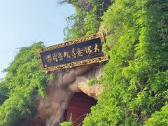 -大槐树寻根祭祖园