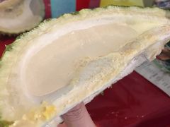 -都念榴莲·城市榴莲