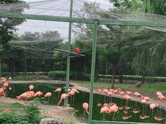 -石家庄市动物园