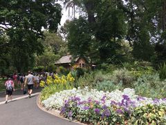 -墨尔本皇家植物园