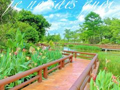 -广州国际生物岛