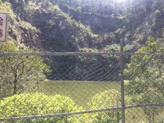 -火炉山森林公园