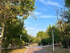 -灞河西岸滨河公园