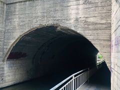 -白水寺森林公园