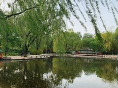 -玲珑塔公园