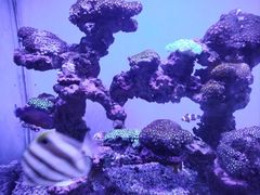 -上海海昌海洋公园