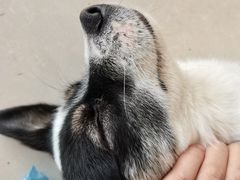 -平行世界·猫咖(首经贸店)