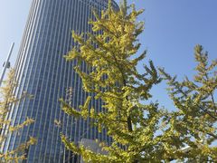 -无锡新湖铂尔曼大酒店