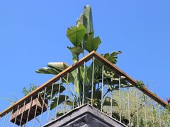 -至尚形象·化妆服饰搭配礼仪培训