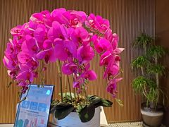 -锦州中央大街希尔顿花园酒店