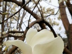 -北京石刻艺术博物馆(五塔寺)