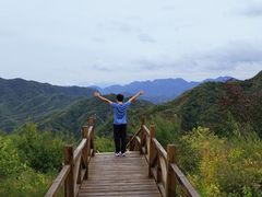 -大岭沟猕猴桃谷风景区