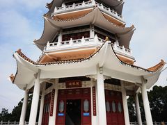 -紫马岭公园