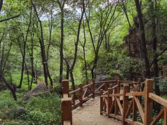 -大岭沟猕猴桃谷风景区