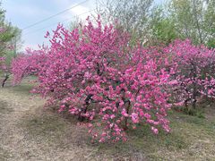 -白水寺森林公园
