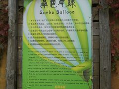 -大连发现王国度假酒店