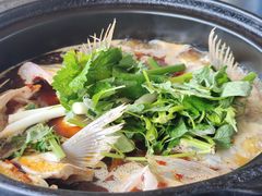 -老杨砂锅鱼庄